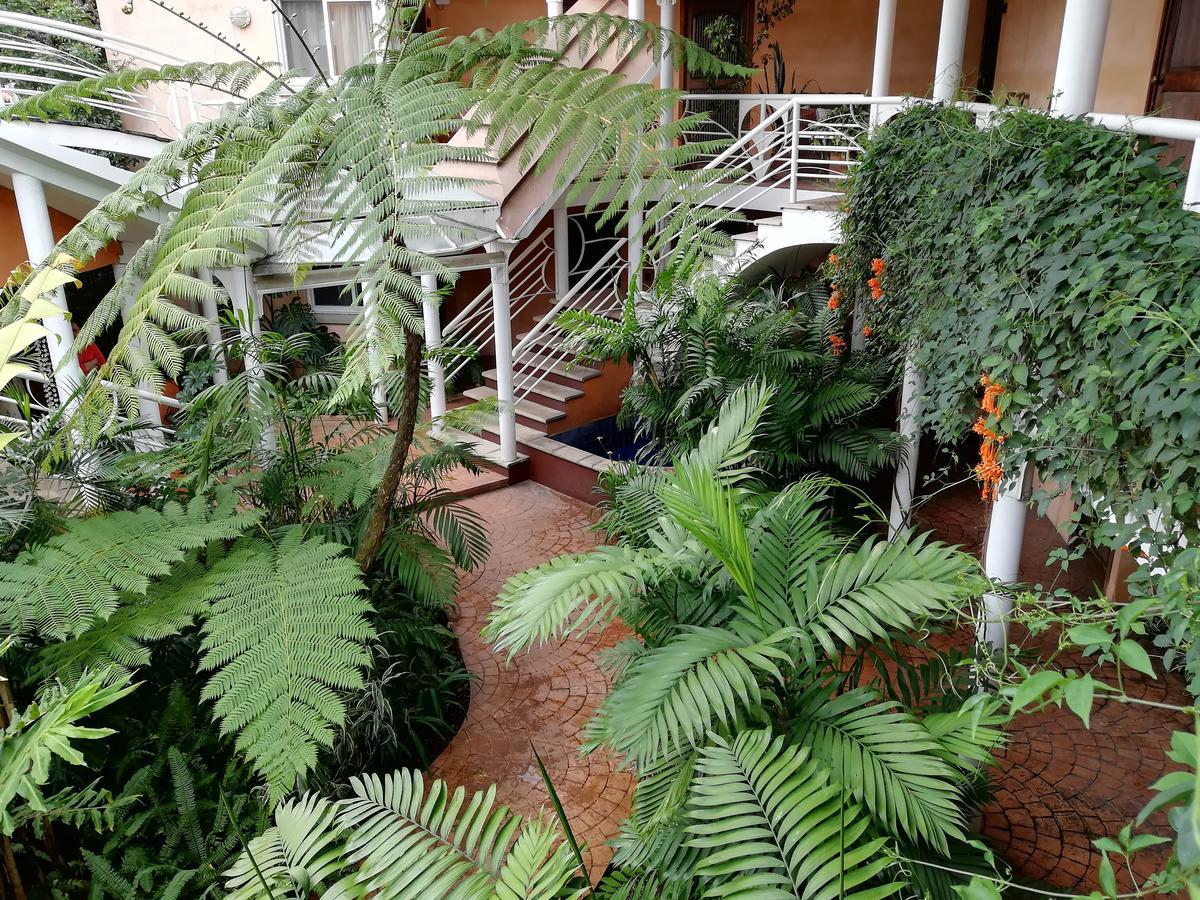 Hotel Ciudad Vieja جواتيمالا المظهر الخارجي الصورة